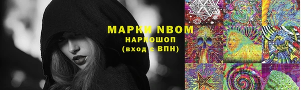стаф Баксан