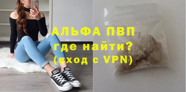 стаф Баксан