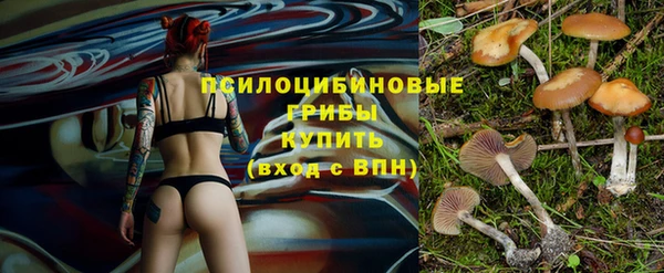дживик Балабаново
