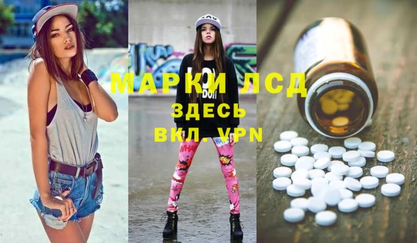 стаф Баксан