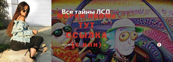 стаф Баксан