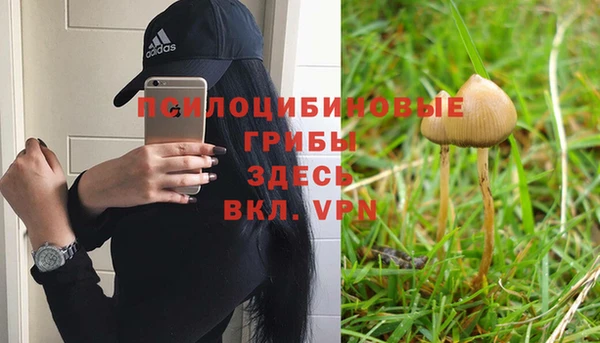 стаф Баксан
