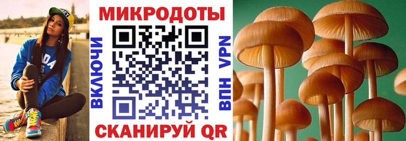 Псилоцибиновые грибы мицелий наркота Чистополь