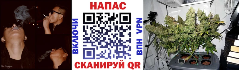 Шишки марихуана AK-47 Чистополь