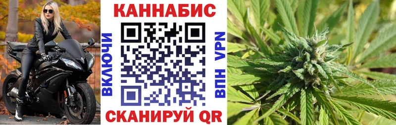Конопля сатива  Чистополь 